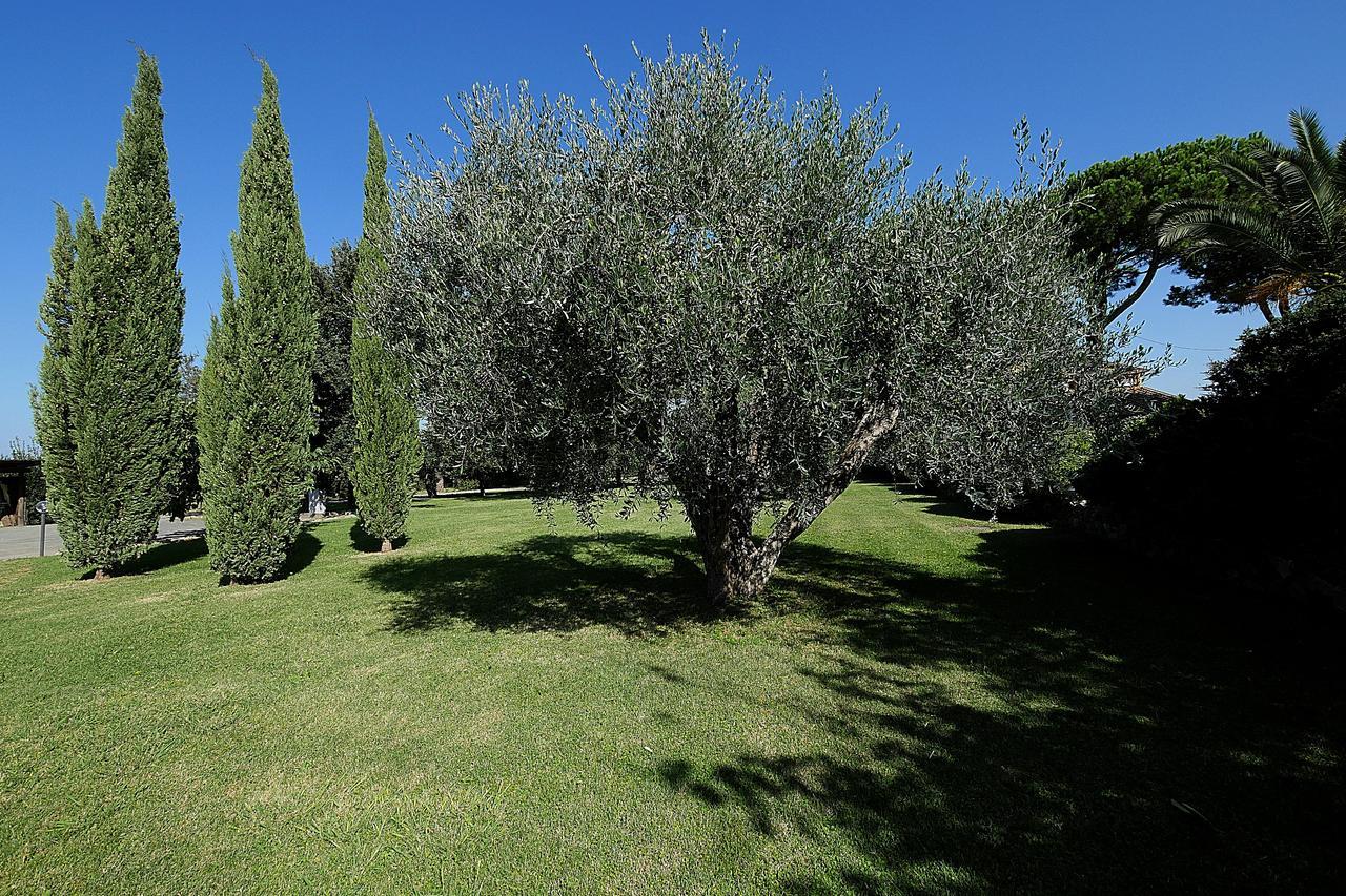 Agriturismo Il Pelago Кастаньето-Кардуччи Экстерьер фото